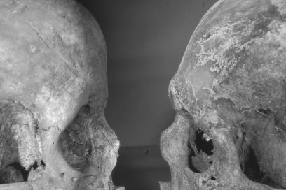 black-and-white-skulls-blog